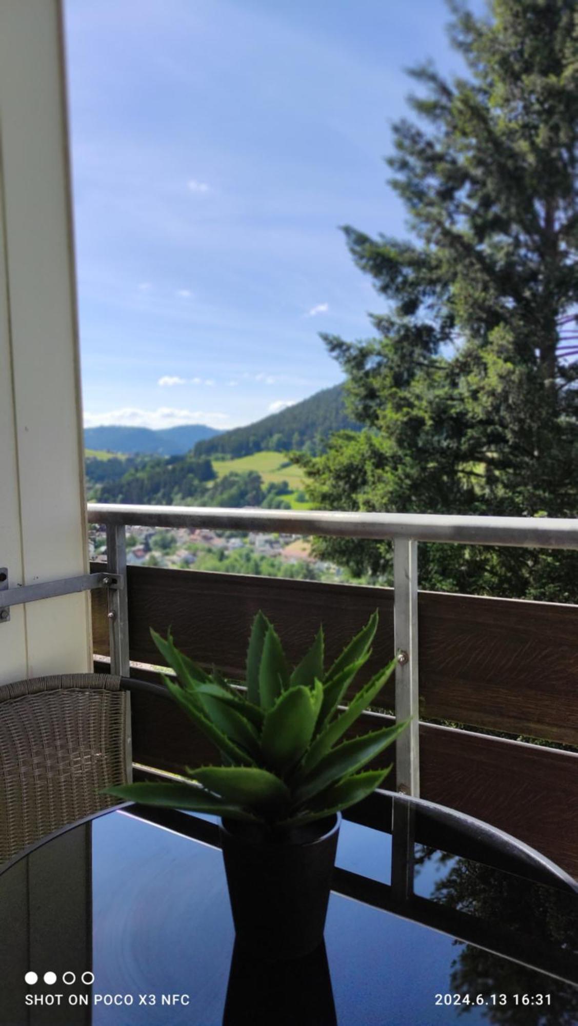 Traumblick Fewo Mit Pool Baiersbronn Exterior foto
